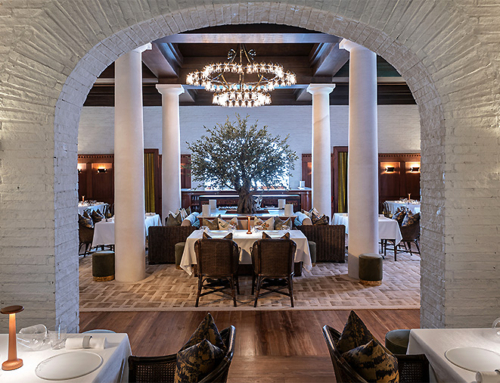 TERRA, Italien fine dining restaurant (full renovation)