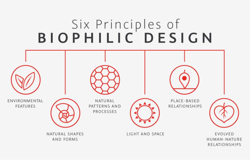 Biophilic-Design-Principles