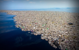 Plastic waste is a growing environmental problem due to its persistence in the environment and the potential for harmful chemicals to leach from it. It can take centuries to break down, and even then, it breaks into smaller pieces called microplastics, which can enter the food chain and potentially harm wildlife and humans. Proper waste management and reducing plastic consumption are crucial to mitigating this issue.