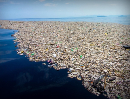 What happens to Plastic ?