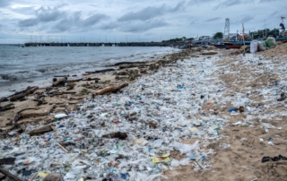 Plastic waste is a growing environmental problem due to its persistence in the environment and the potential for harmful chemicals to leach from it. It can take centuries to break down, and even then, it breaks into smaller pieces called microplastics, which can enter the food chain and potentially harm wildlife and humans. Proper waste management and reducing plastic consumption are crucial to mitigating this issue.