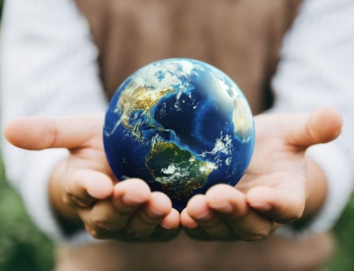 “Make every day EARTH DAY !!” (by Motti Essakow / NESTWELL Hospitality)
