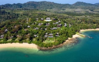 Sustainability Where wildlife is more about wilderness than party time You’ll meet our special guests such as the hornbills and all their feathered friends. Why not join the initiatives we have in place to preserve and re-generate the island’s tropical flora and fauna?