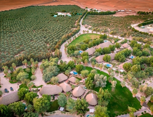 Sustainability: Tourism must be part of the solution to the climate crisis